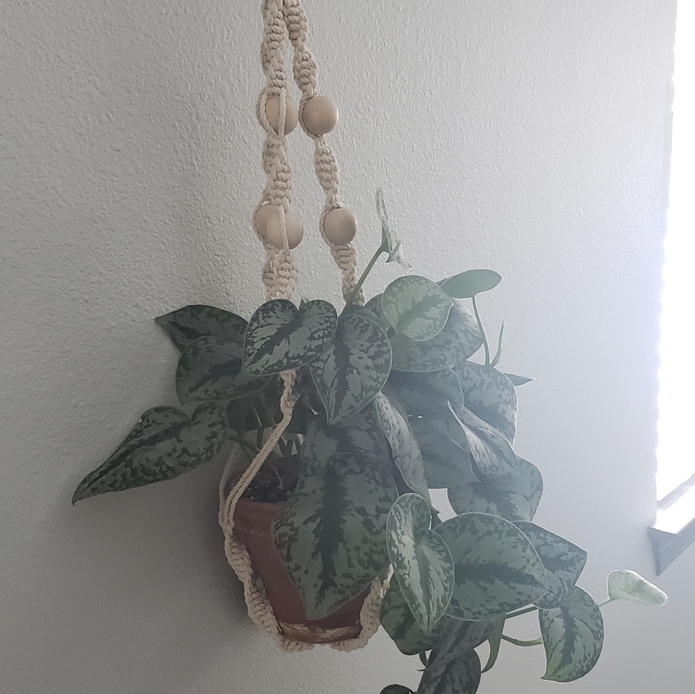Hanging Macrame Plant Holder